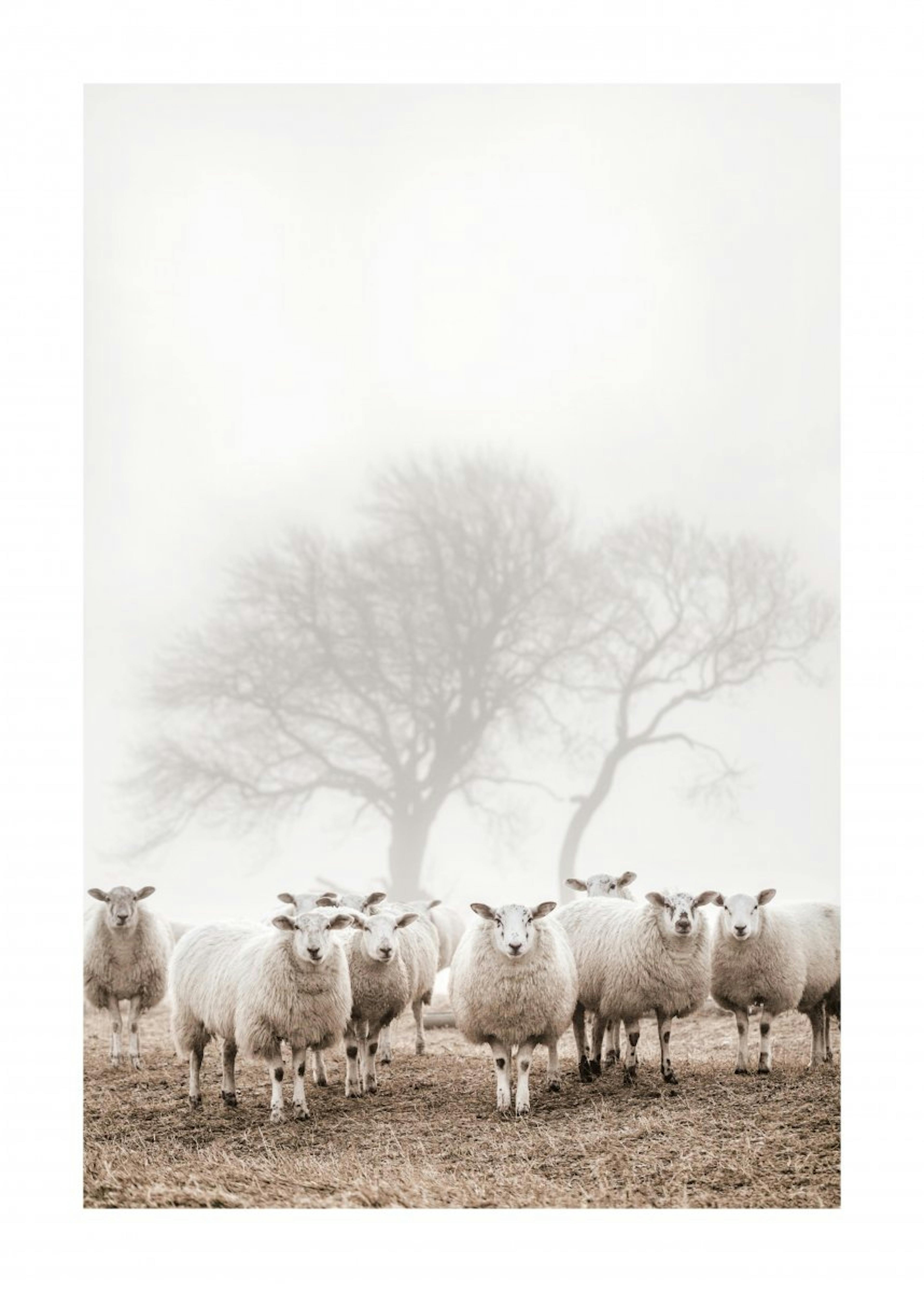 Troupeau de Moutons Poster 0