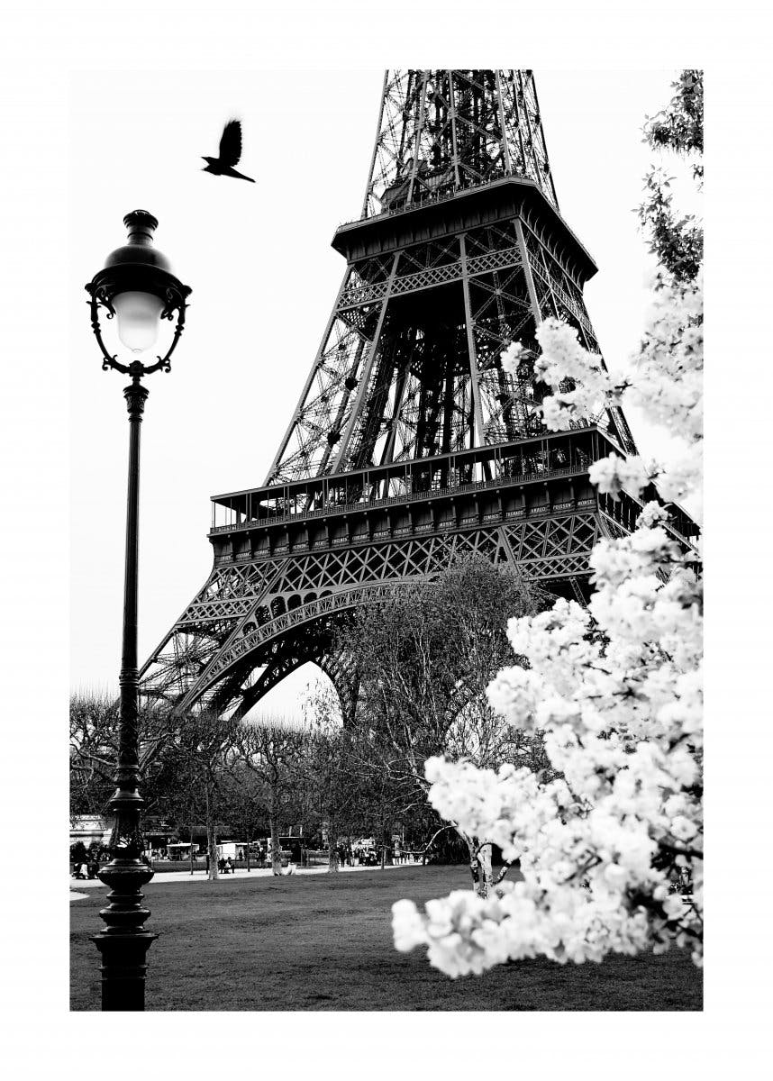 Straßen von Paris Poster 0