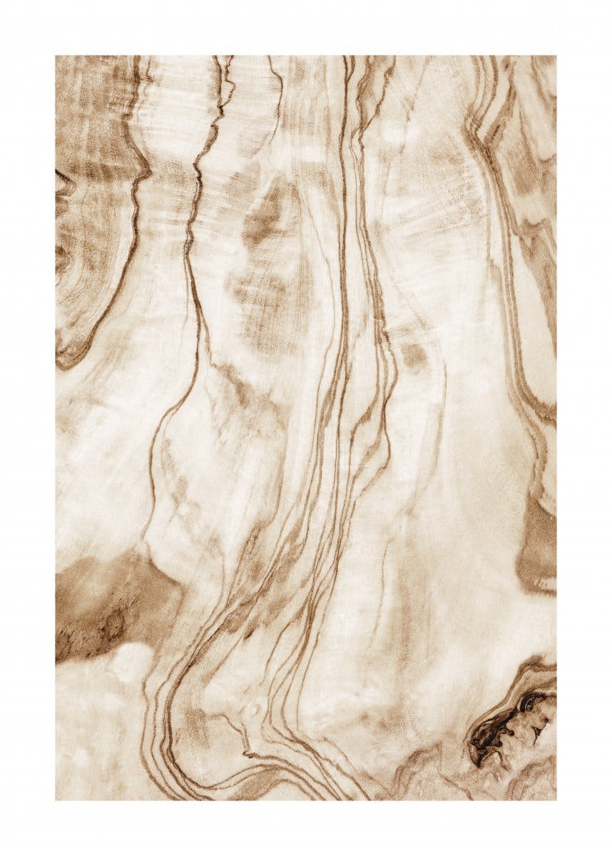 Poster textura lemnului 0