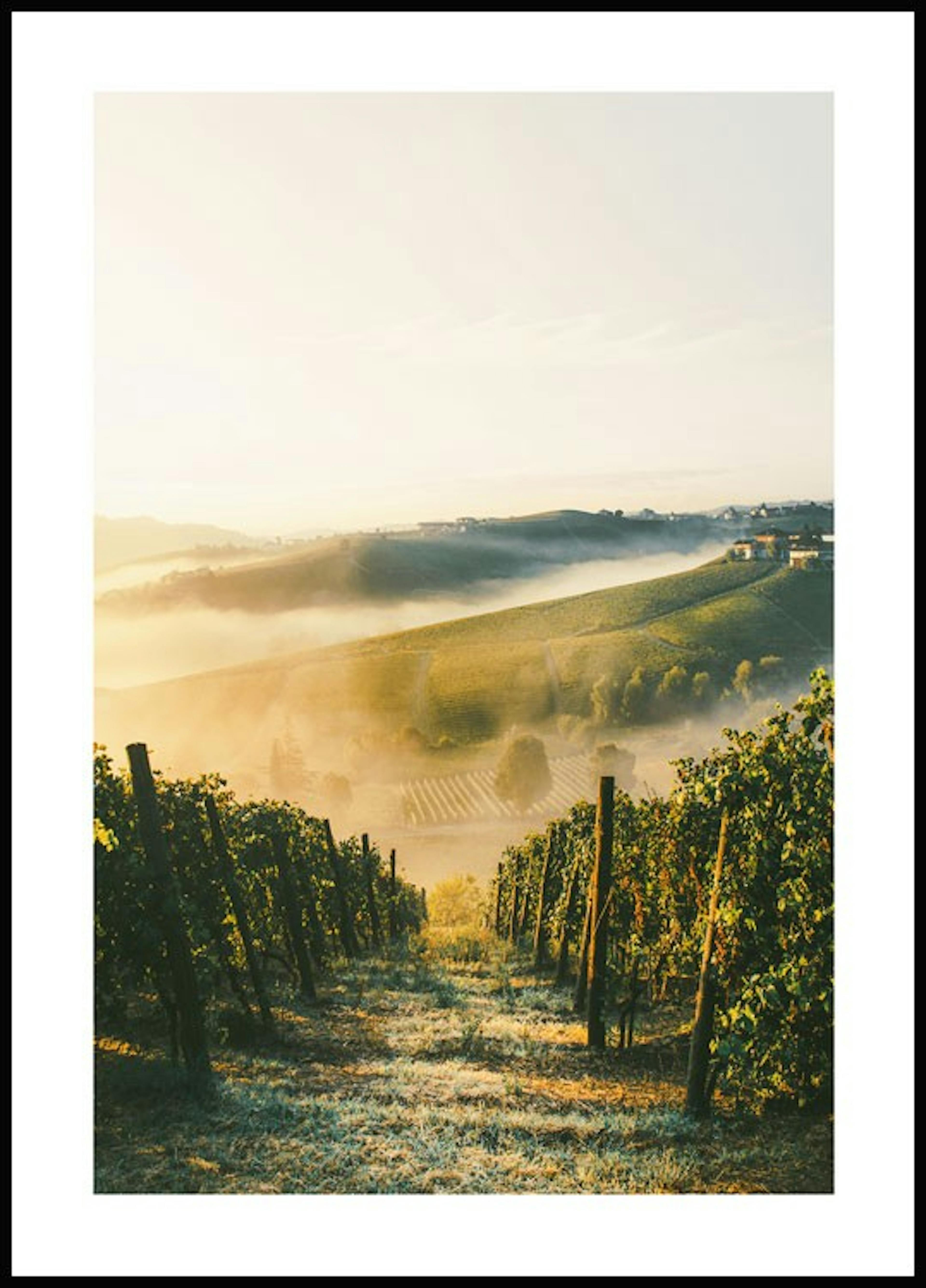 ワイン農園 ポスター 0