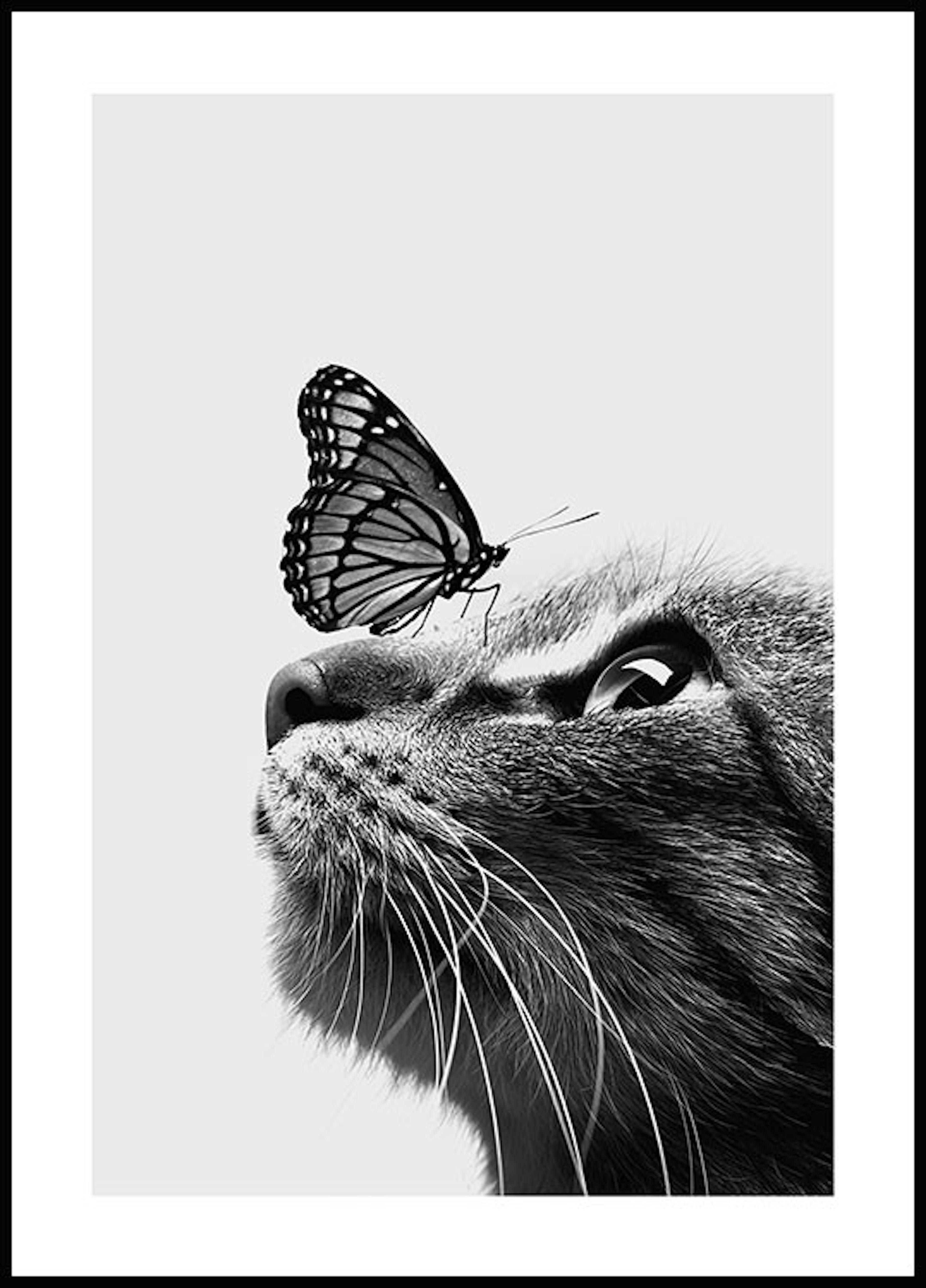 لوحة لصورة القطة والفراشة 0