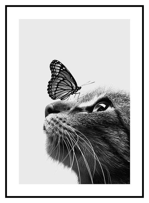 Plakat Kot i Motyl (30x40 cm) - Poster Store