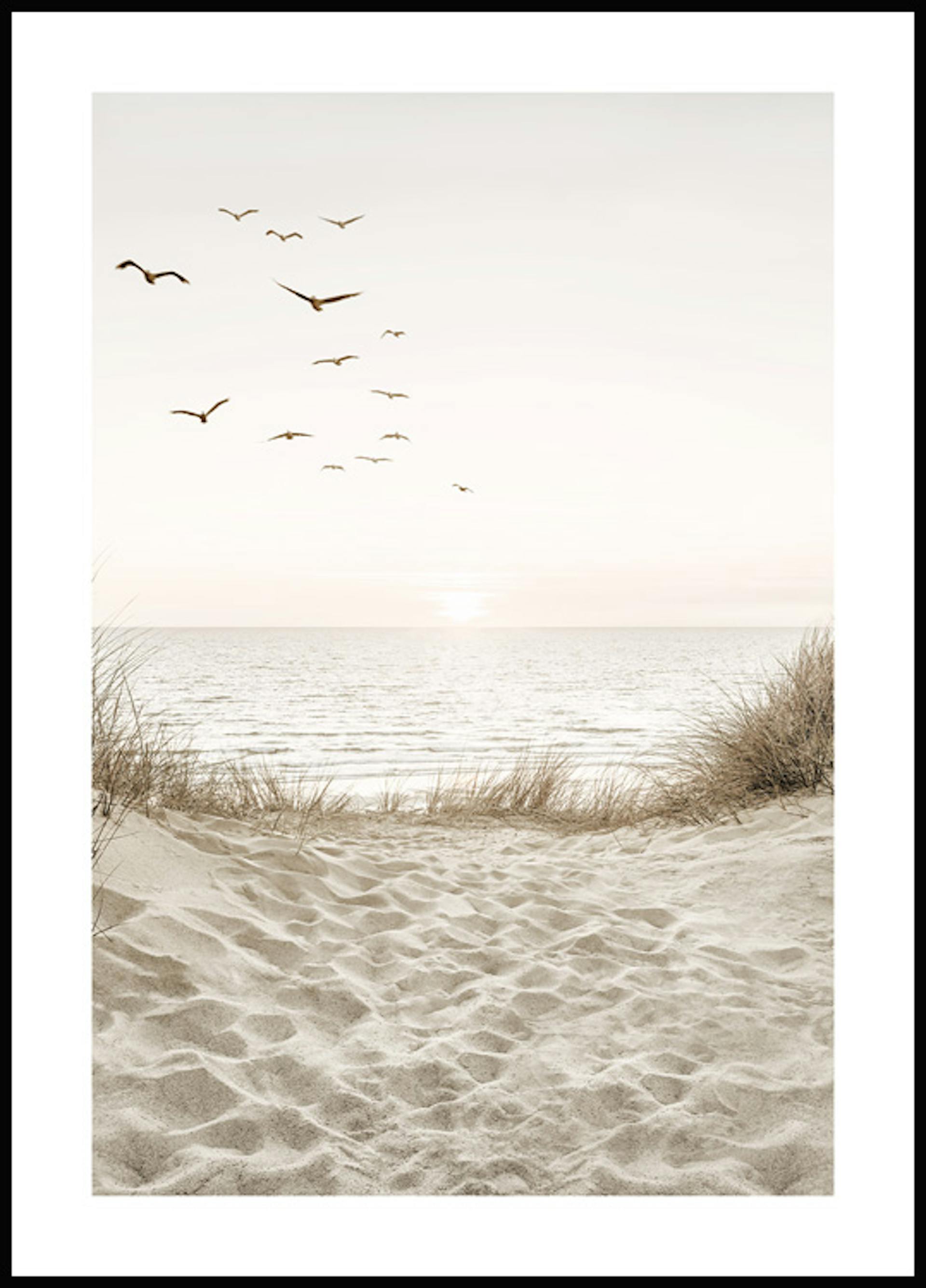 Beach Seashell Poster Beach Seashell Poster Seashell Prints Poster