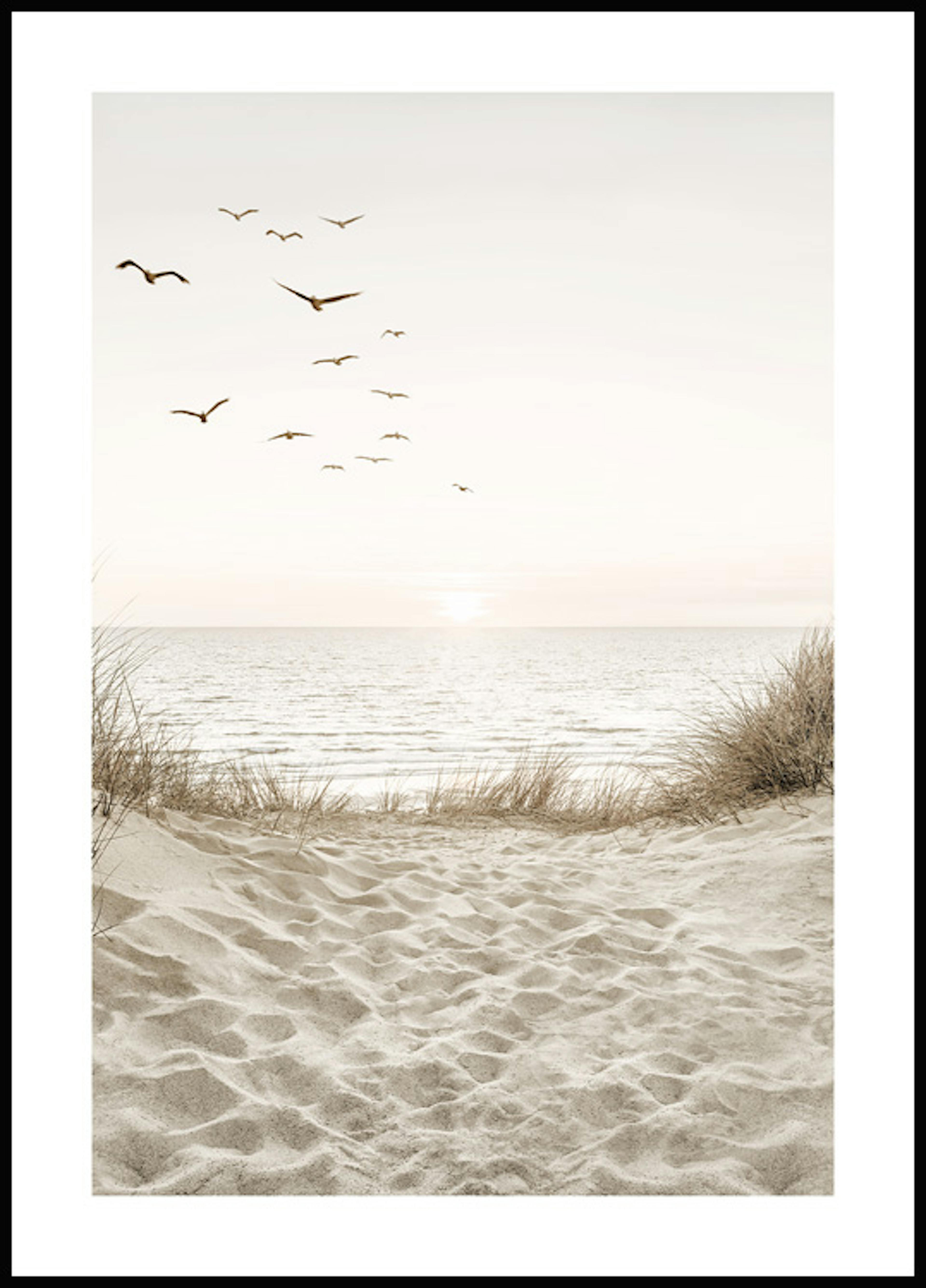 Uccelli sulla spiaggia Poster 0