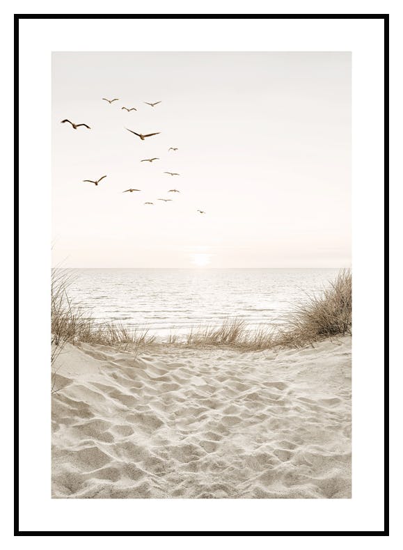 Plakat Ptaki na Plaży (21x30 cm) - Poster Store