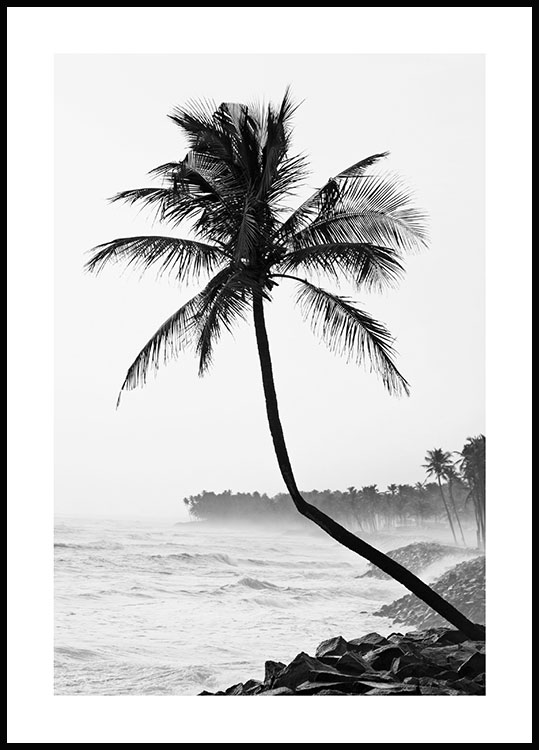 Palma sulla spiaggia Poster - Poster bianco e nero