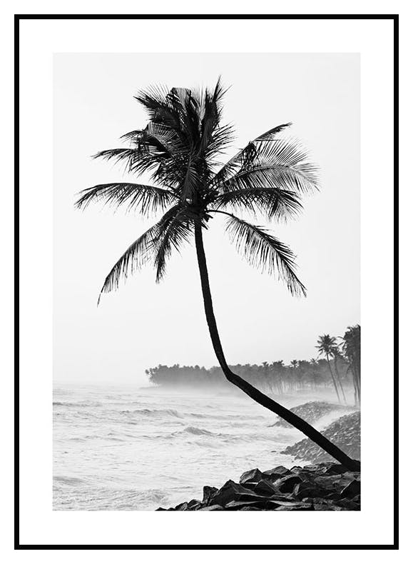 Palm by the Beach Poster (50x70 cm) - Poster Store