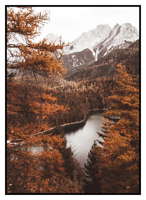 Sjöutsikt Poster (21x30 cm) - Poster Store