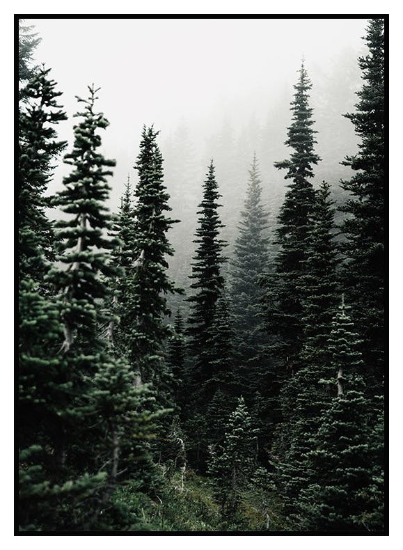 Plakat W Lesie (21x30 cm) - Poster Store