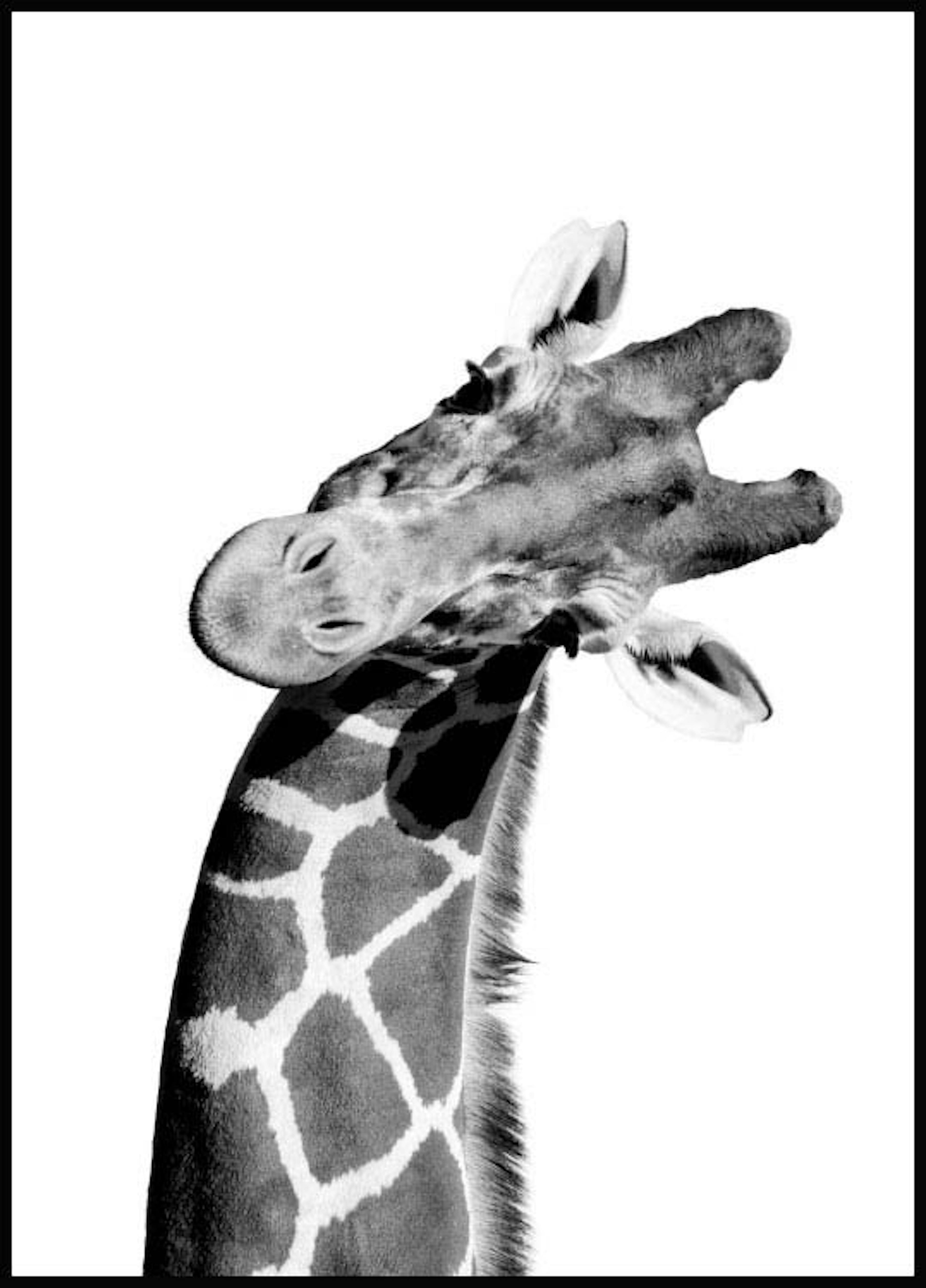 Giraffe Portrait Plakat 0