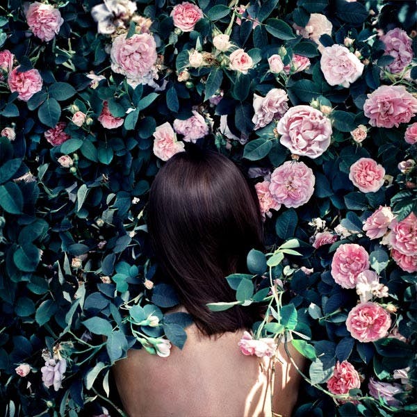 薔薇の茂みの女性 ポスター 0