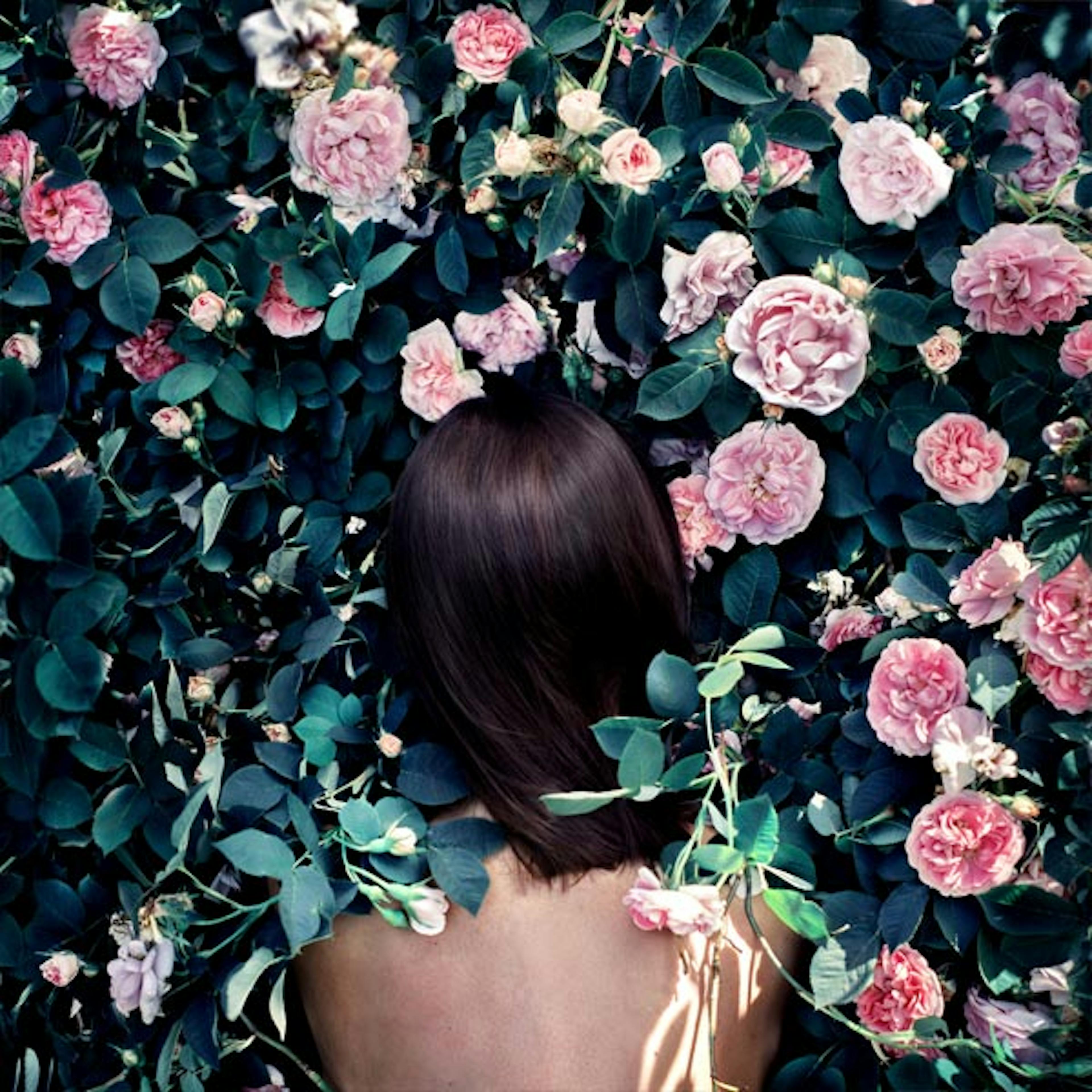 Sea of Flowers Poster 0
