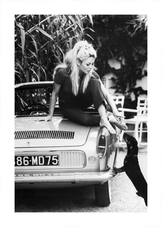 Brigitte Bardot poszter 0