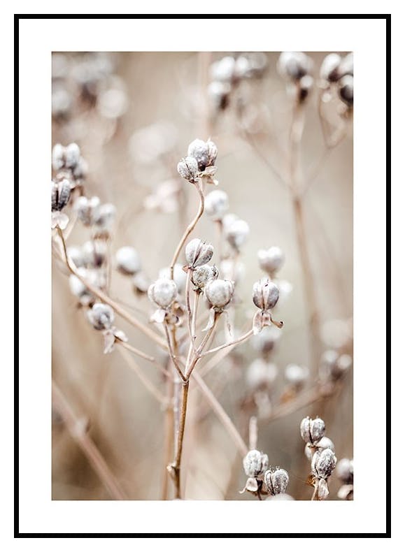 Beige Nature Plakat (21x30 cm) - Poster Store