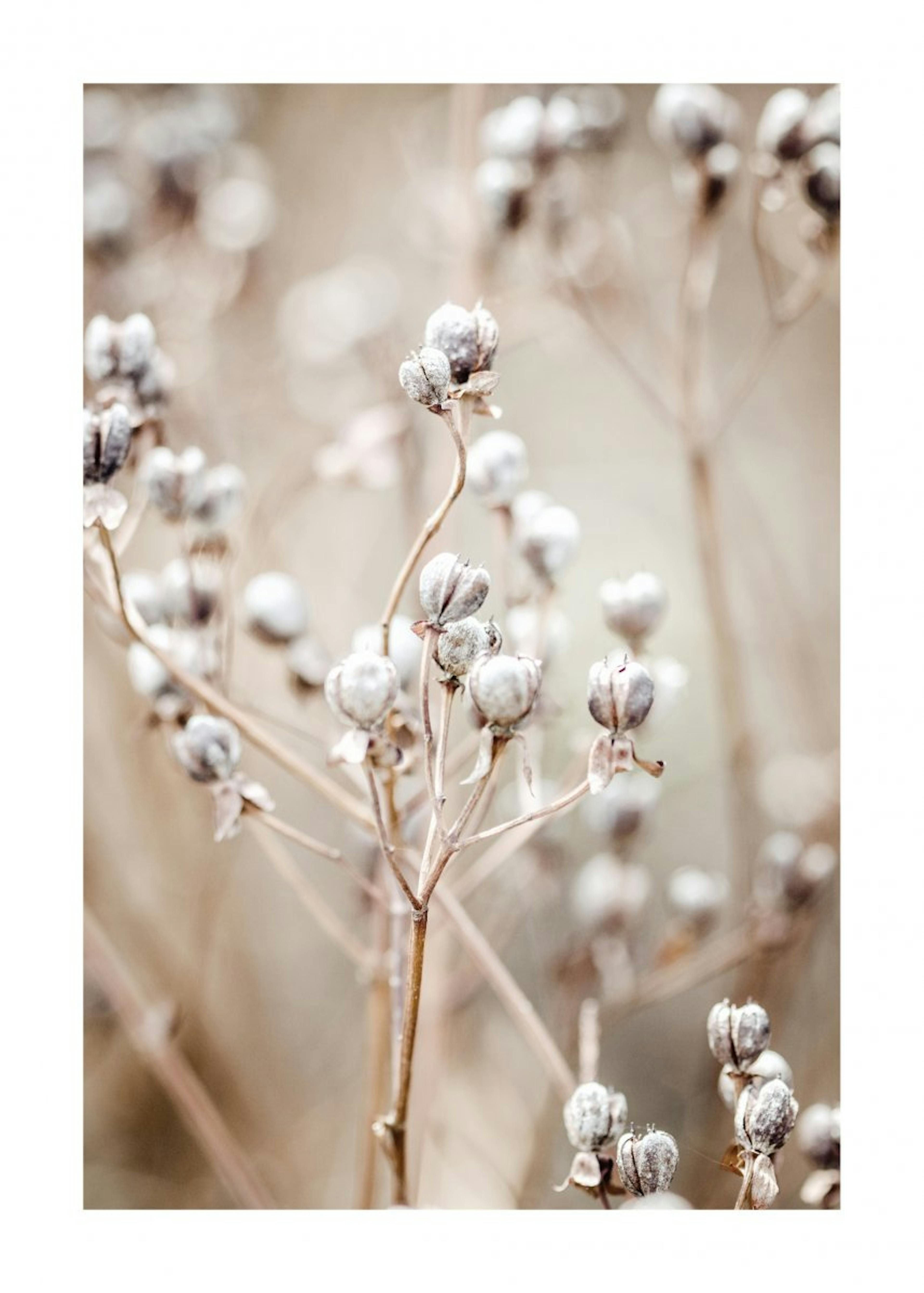 Beige Nature Poster 0