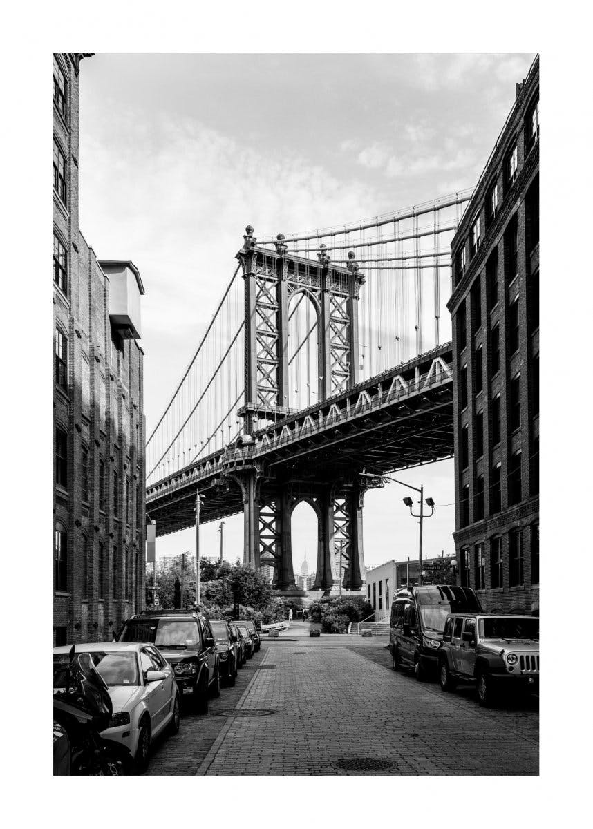 Pont de Manhattan Poster 0