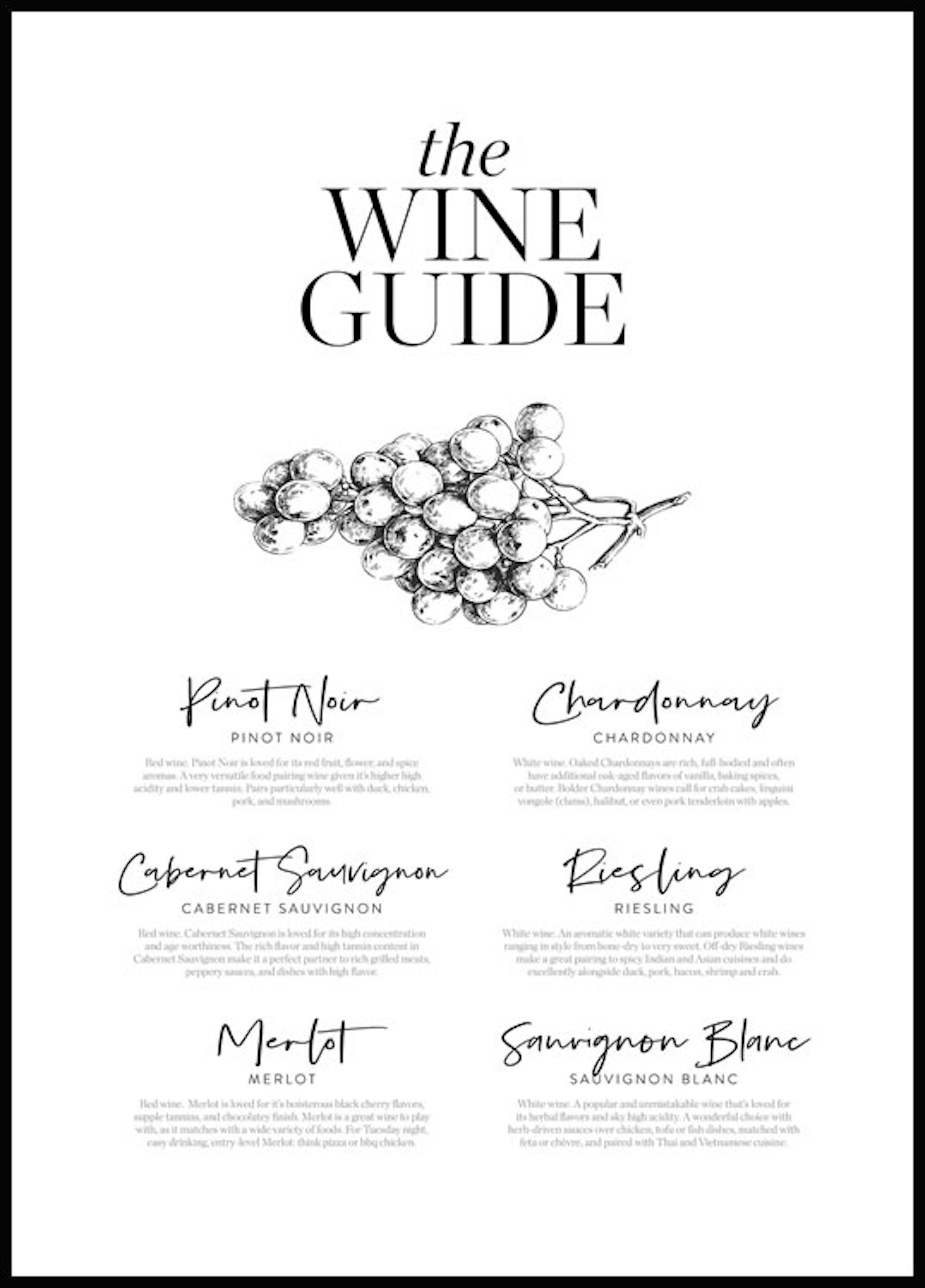 Wine Guide Plakat thumbnail