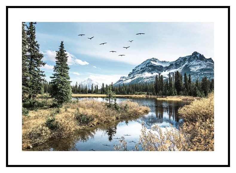 Mountain Birds Poster (50x70 cm) - Poster Store