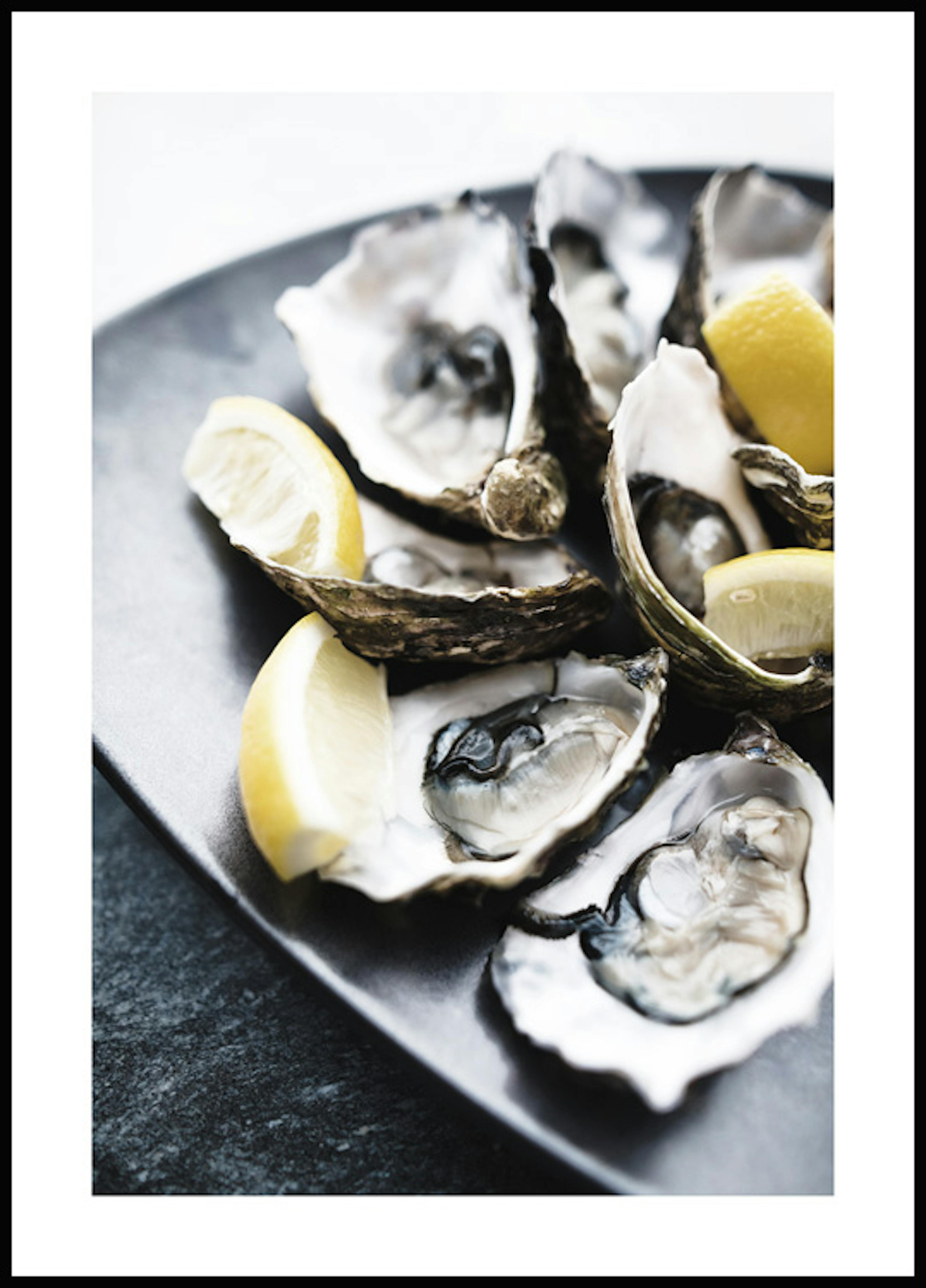 Oysters Plate Poster 0