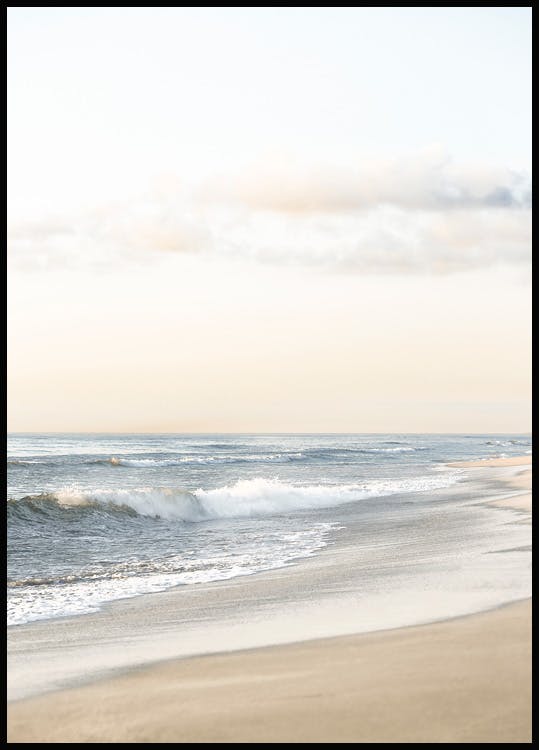 Blue Shells Poster | Blue Poster for Coastal Decor | Poster Store Canada