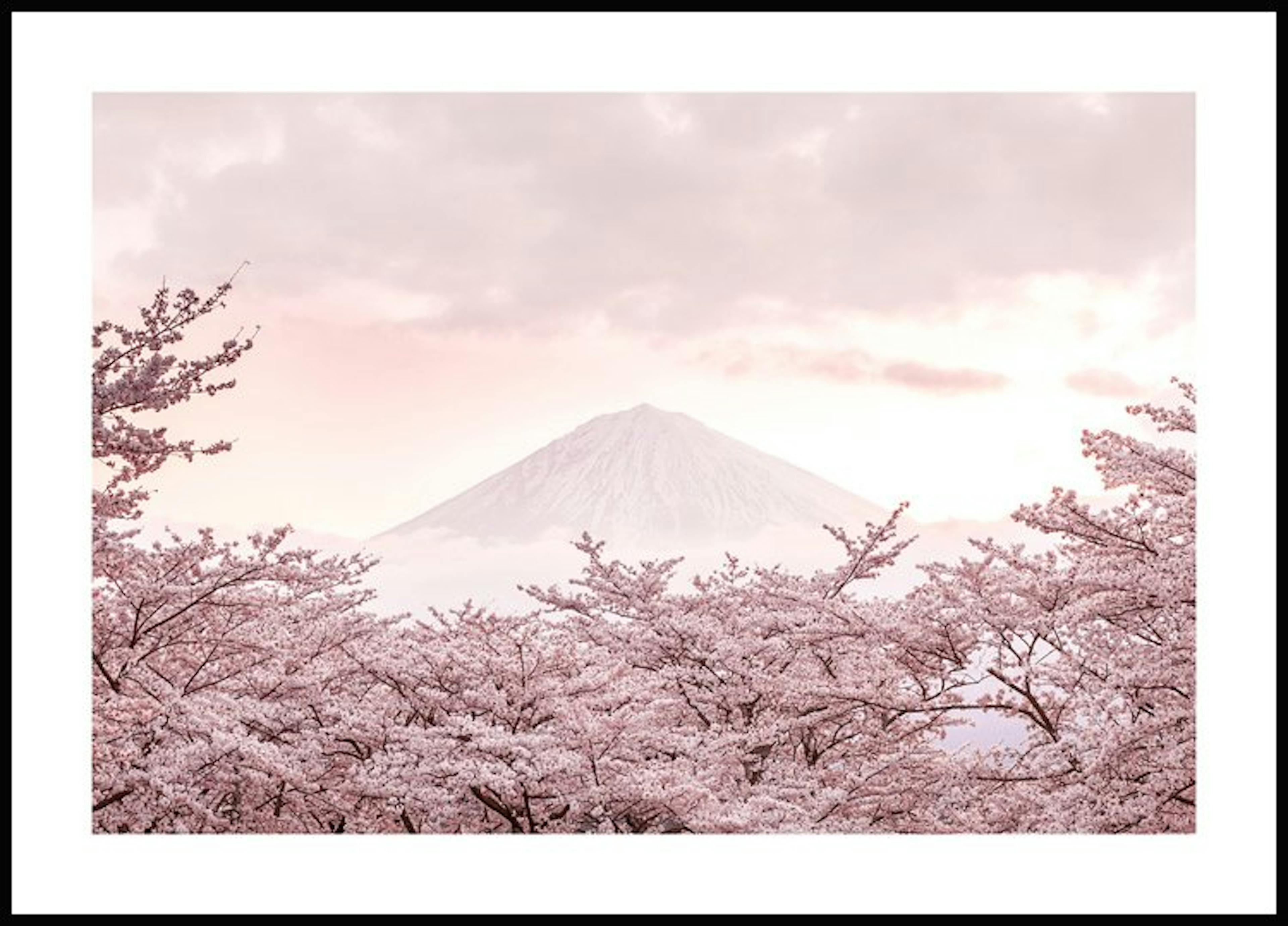 Roze berg Fuji-poster 0