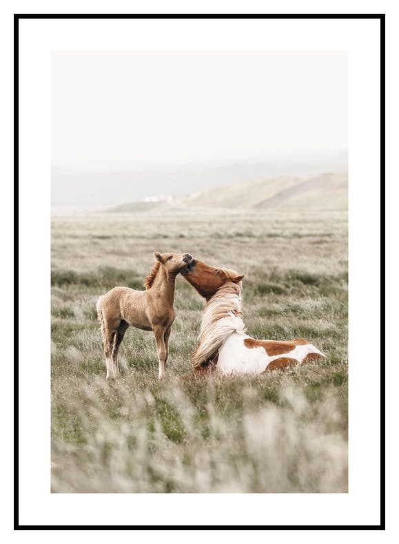 Horses on Field Poster (21x30 cm) - Poster Store