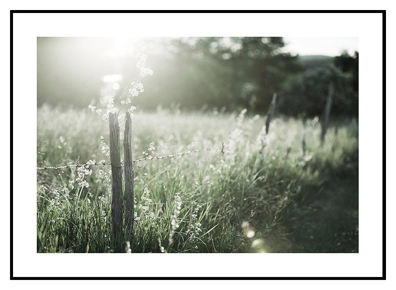Old Fence Poster (30x40 cm) - Poster Store