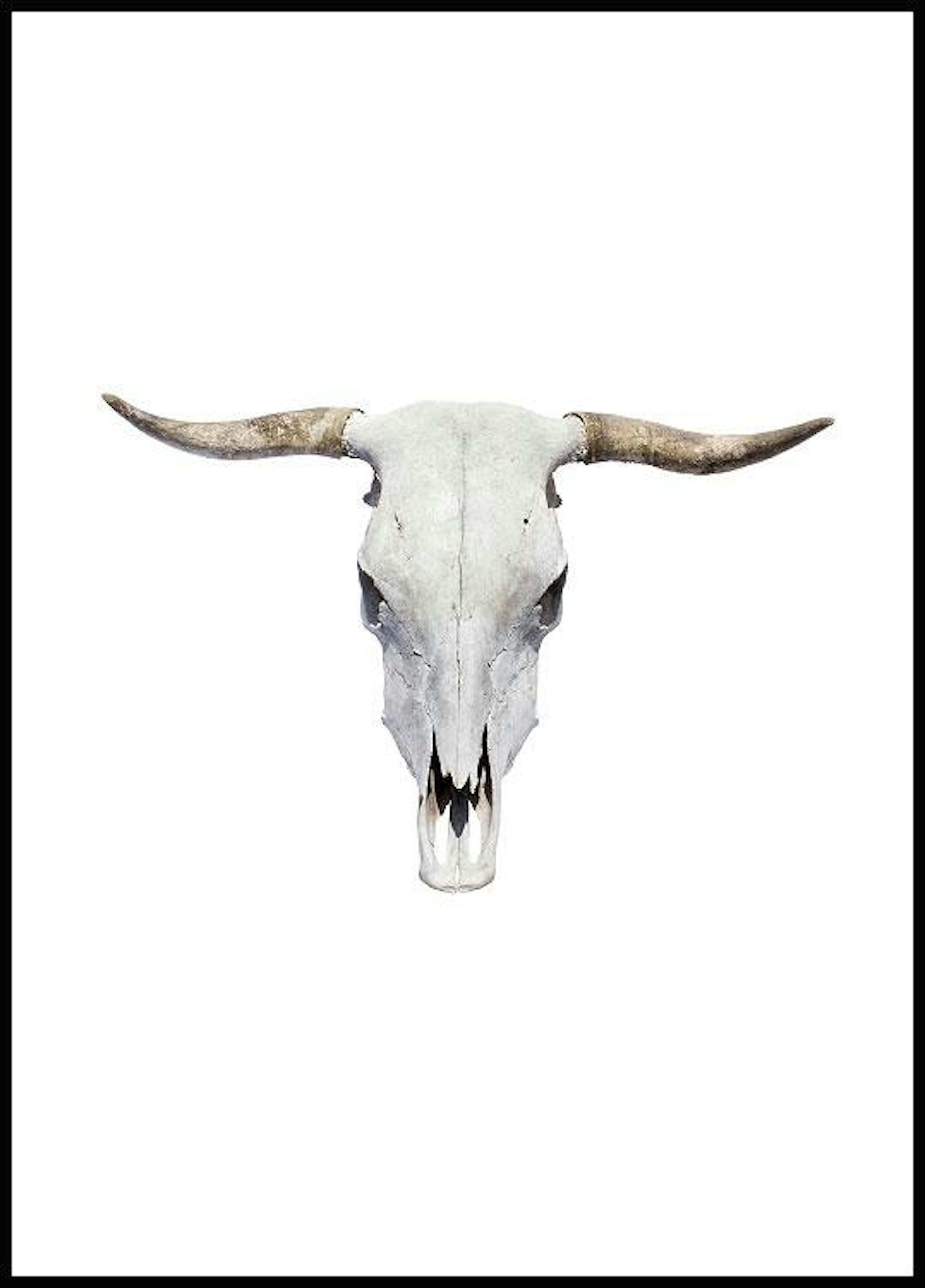 牛の頭蓋骨 ポスター 0