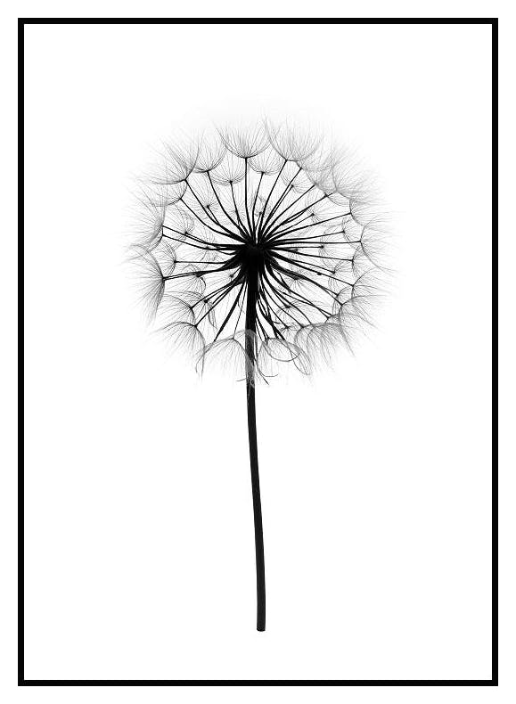 Plakat Dmuchawiec (30x40 cm) - Poster Store