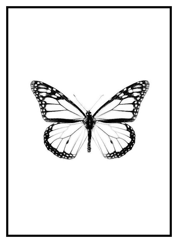 Vlinder Poster (50x70 cm) - Poster Store
