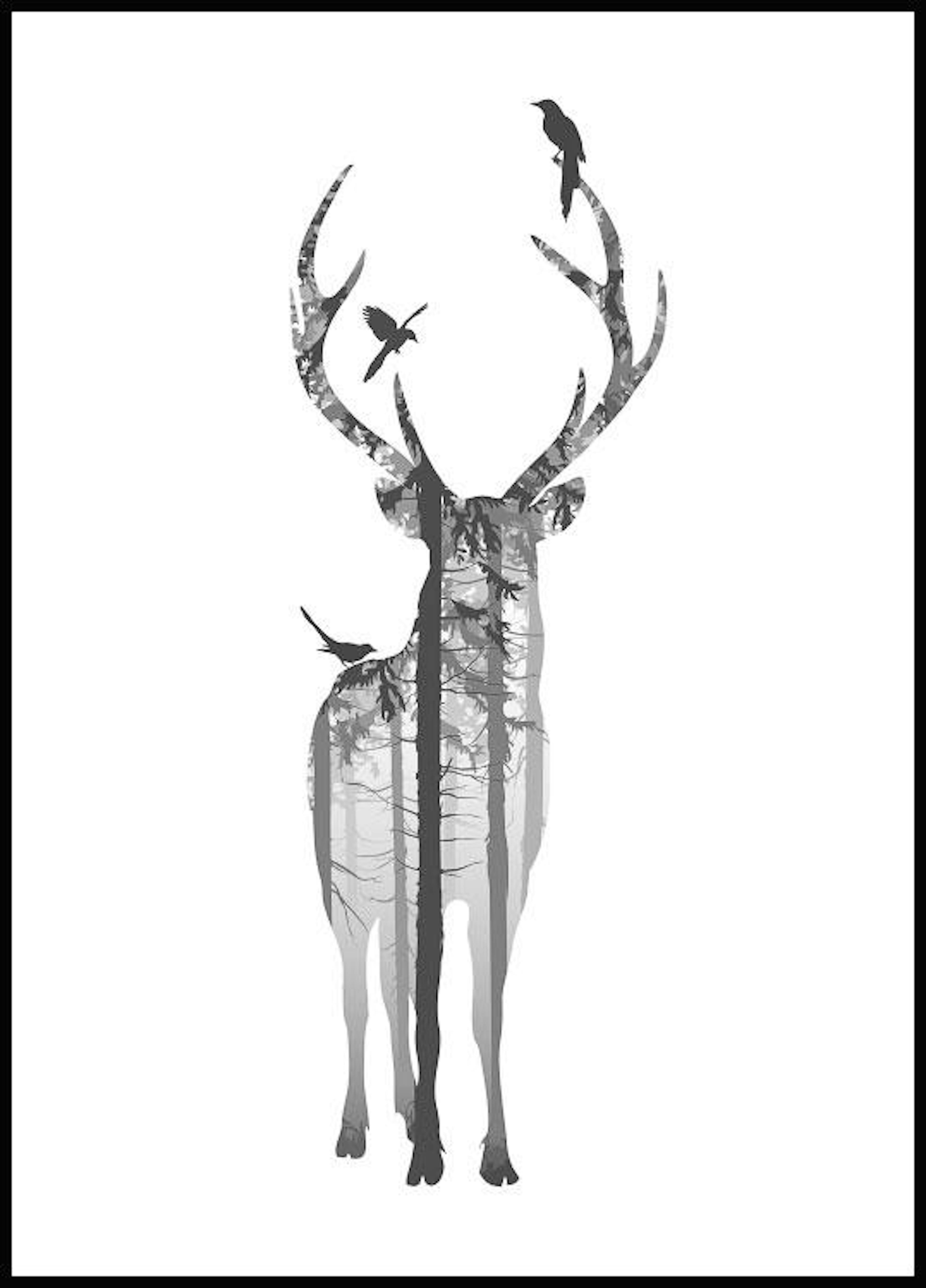Deer Poster 0
