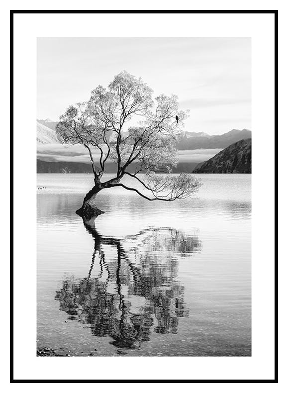 Tree Reflection Poster (30x40 cm) - Poster Store