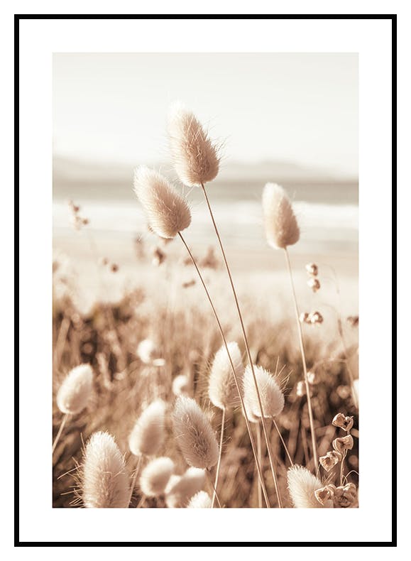 Beach Grass Poster (50x70 cm) - Poster Store