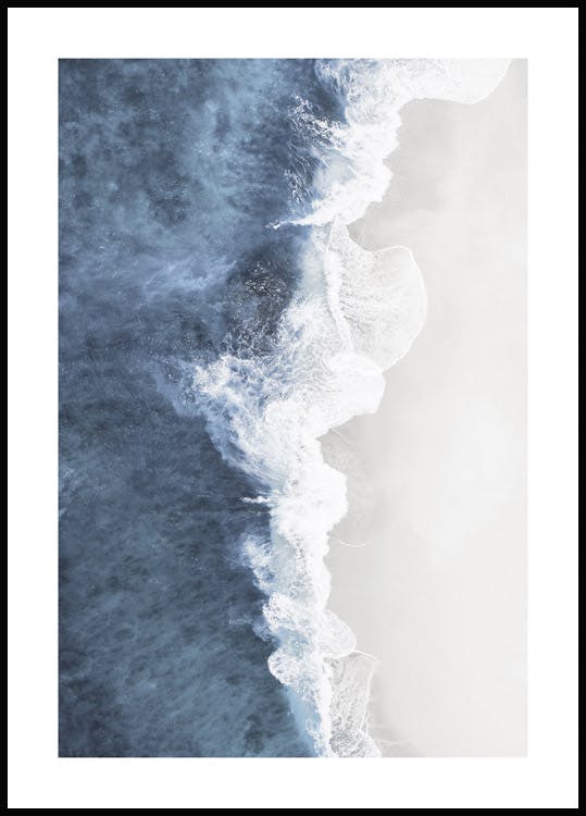 Blue Shells Poster | Blue Shells Poster for Coastal Decor | Poster ...