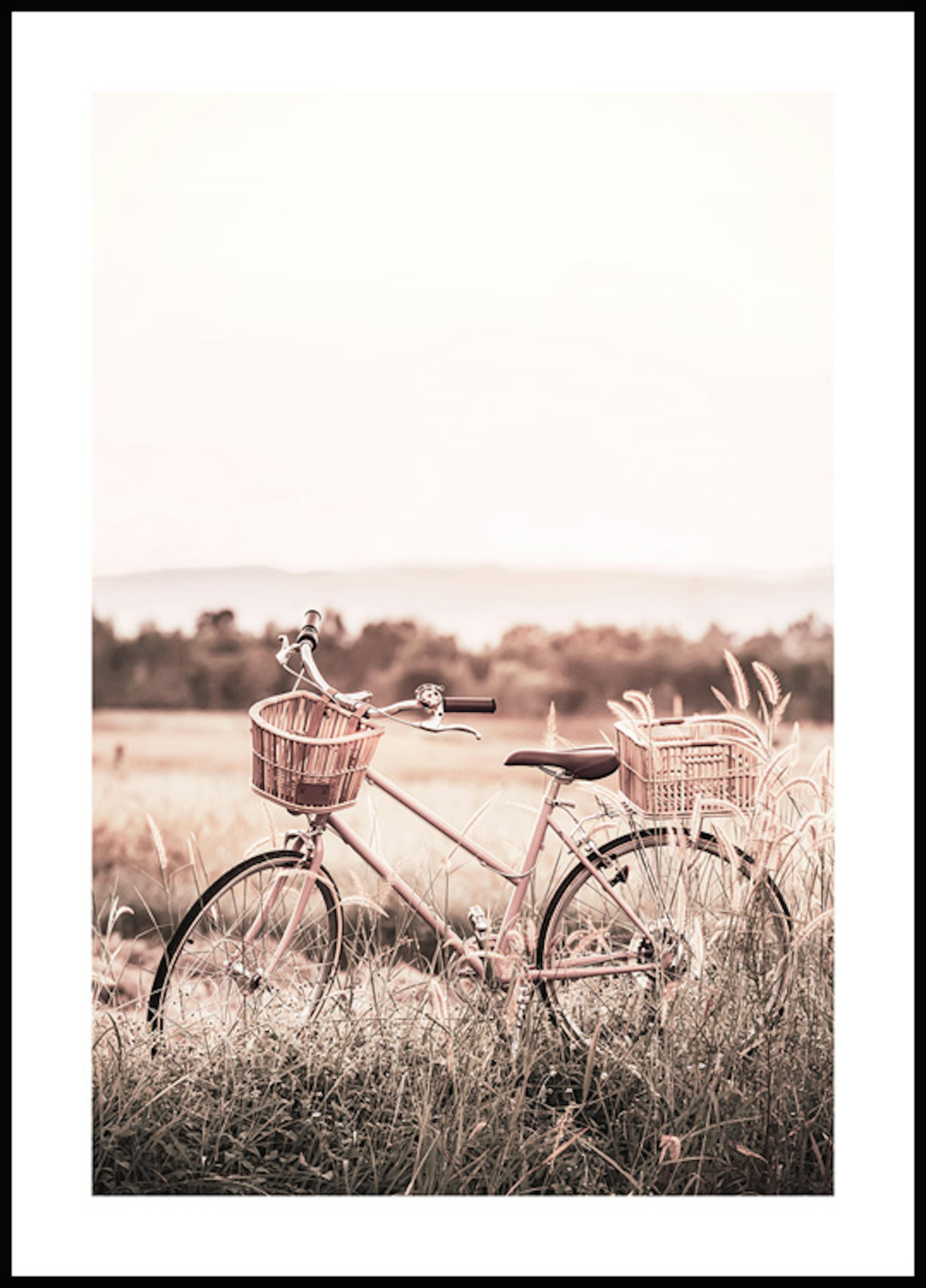 들판 위 자전거 포스터 0