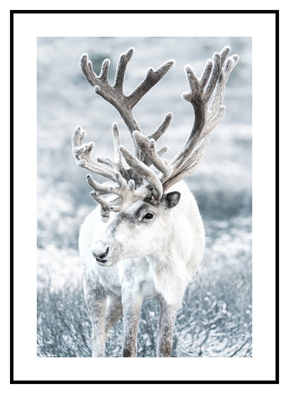 Winter Rentier Poster (30x40 cm) - Poster Store