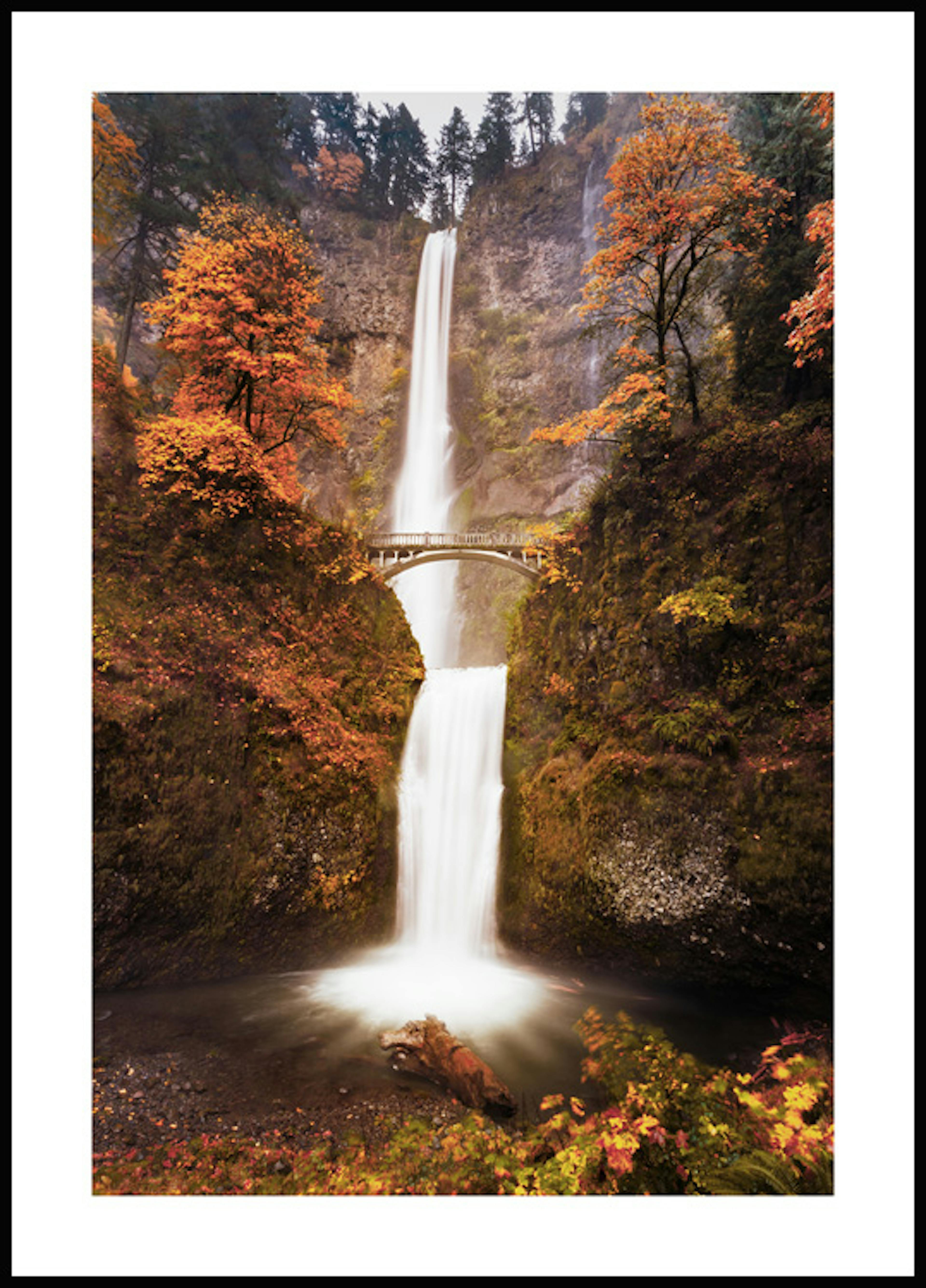 Waterfall in Autumn Poster thumbnail