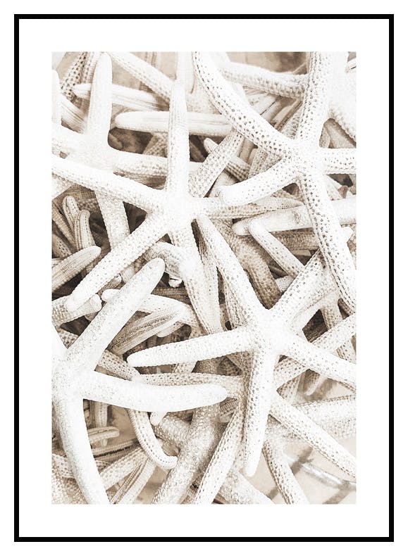 Søstjerne Plakat (30x40 cm) - Poster Store