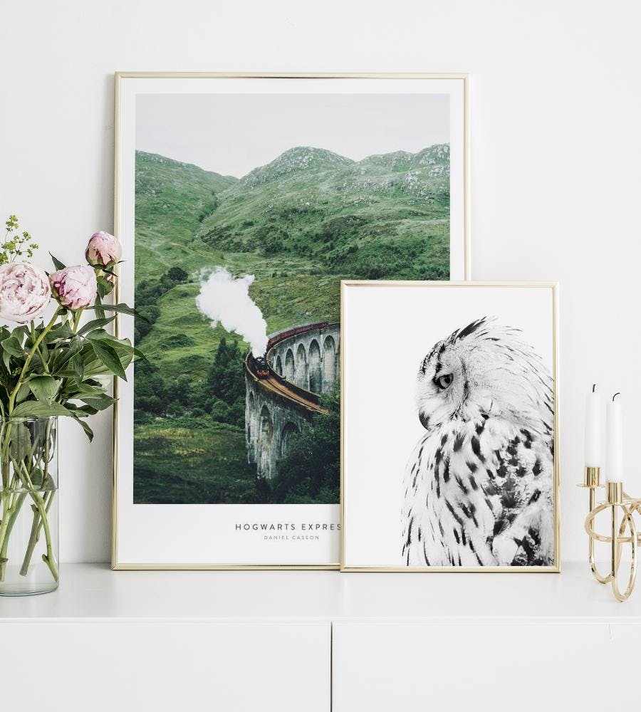 Prints with gold frames and posters inspired by Harry Potter