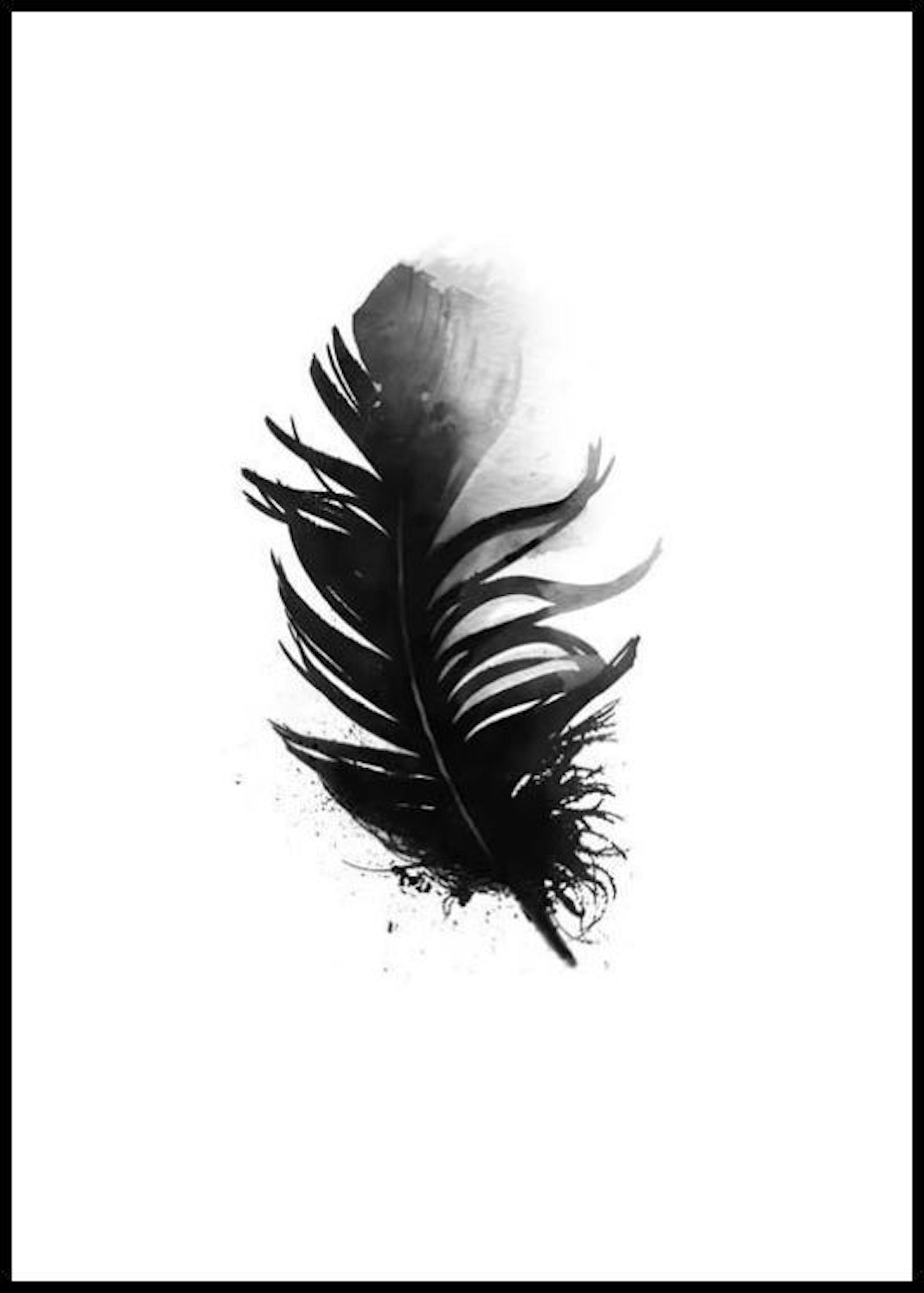 Black Feather Aquarelle, Poster thumbnail