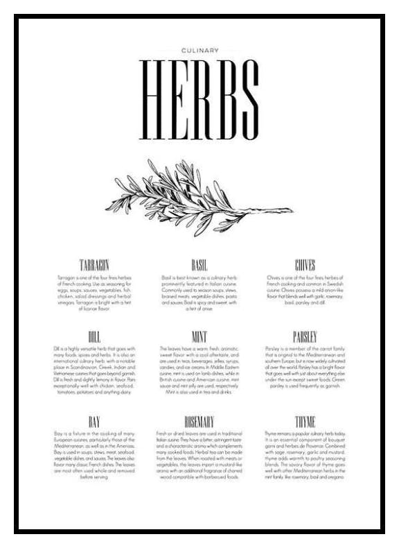 Herbs Type, Poster (50x70 cm) - Poster Store