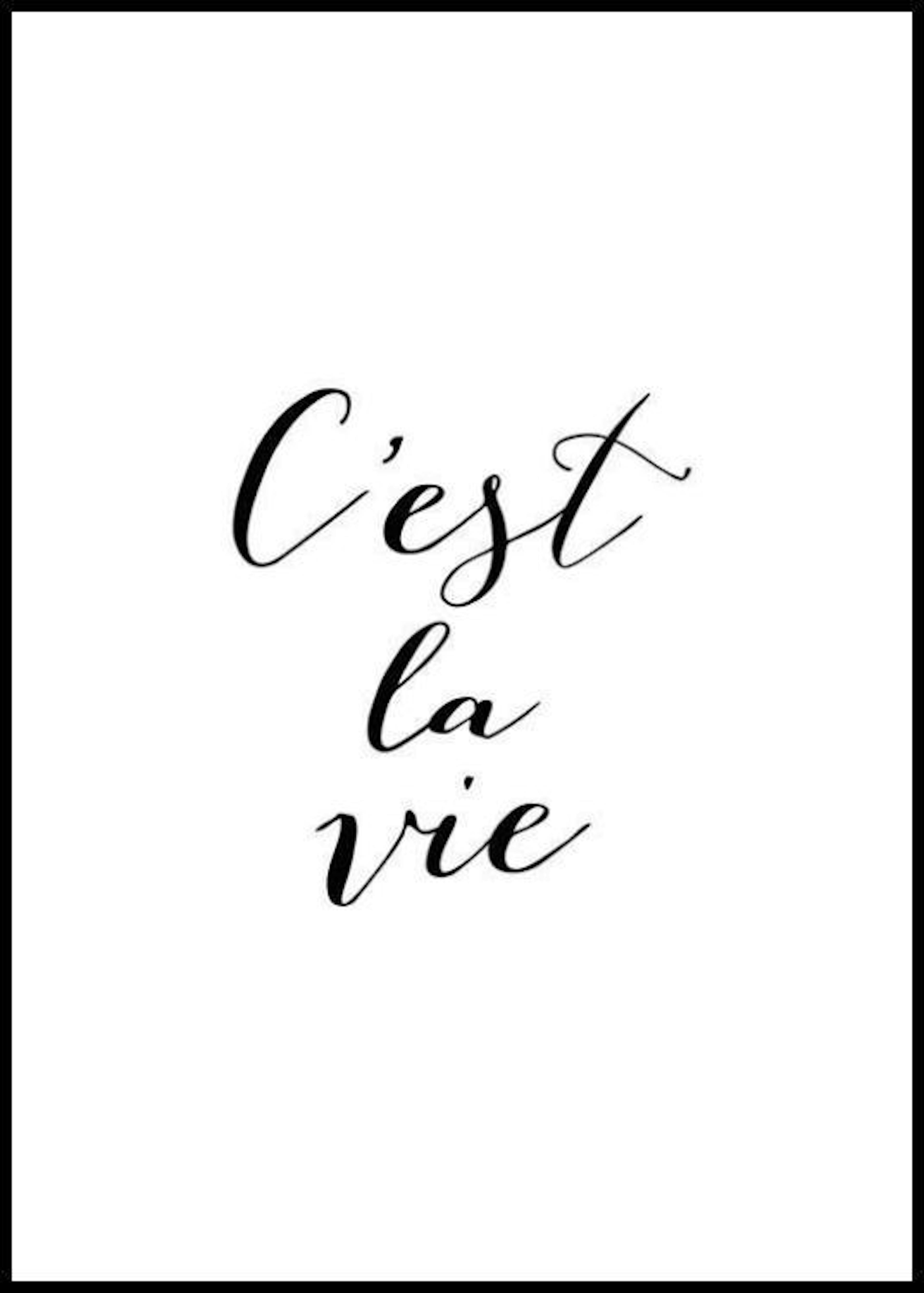 C'Est La Vie, Poster thumbnail