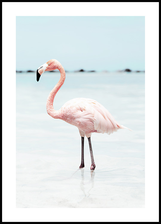 Pink Flamingo Poster - Trendy animal prints