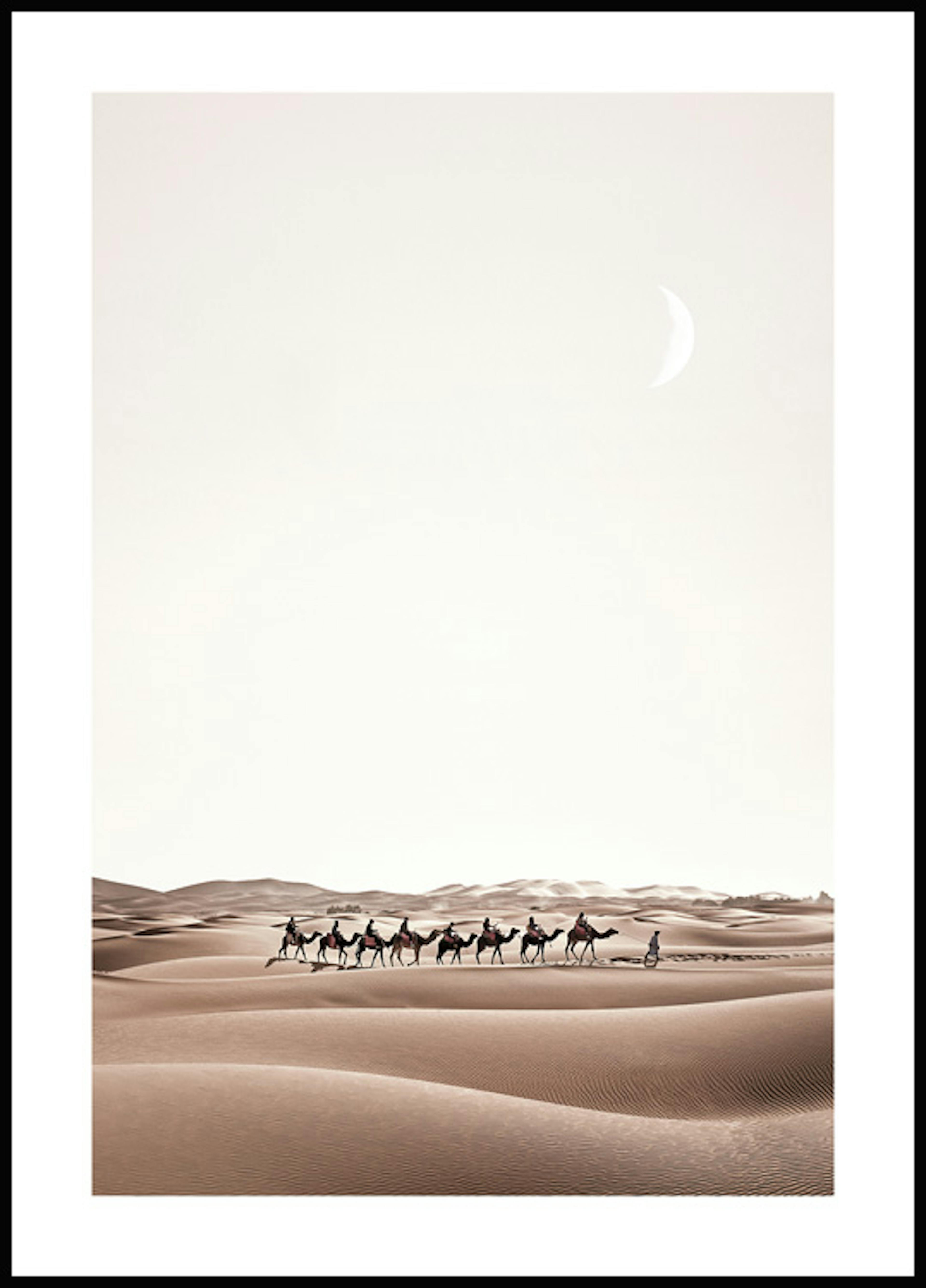 Camels in Desert Poster thumbnail