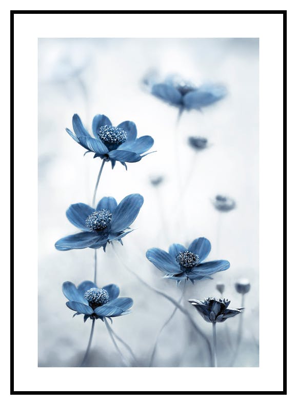 Blommor i Blått Poster (21x30 cm) - Poster Store