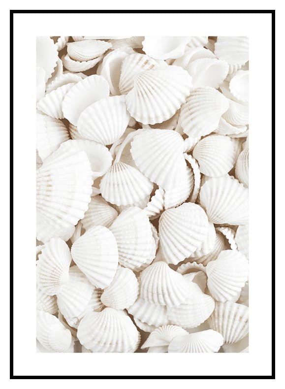 Plakat Białe Muszelki (21x30 cm) - Poster Store