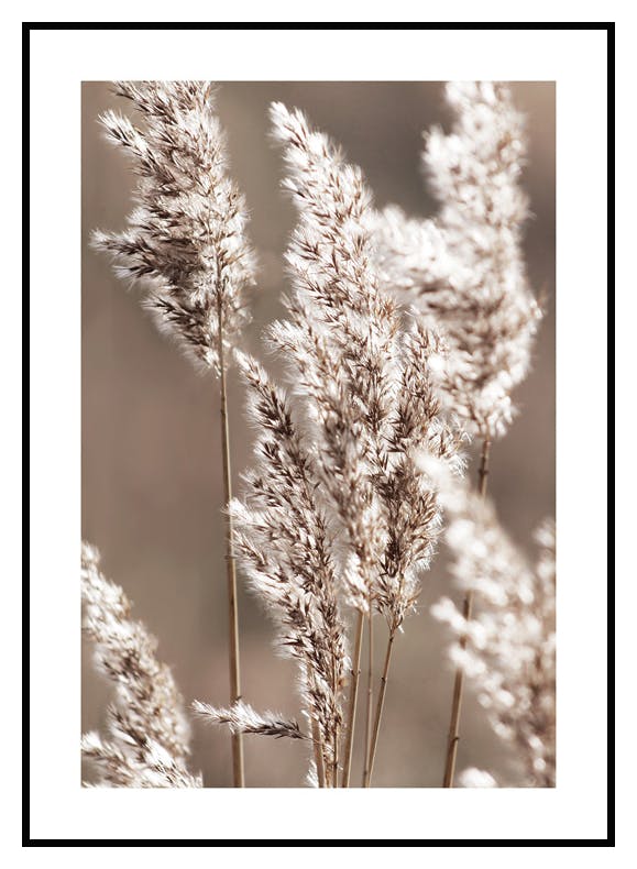 Plakat Jesienna Łąka (50x70 cm) - Poster Store