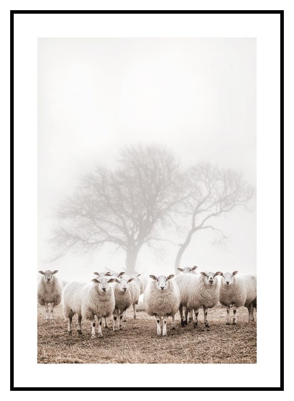 Lammaskatras Juliste (30x40 cm) - Poster Store