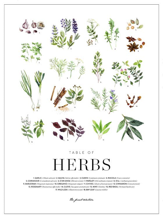 Herbs Plakat 0