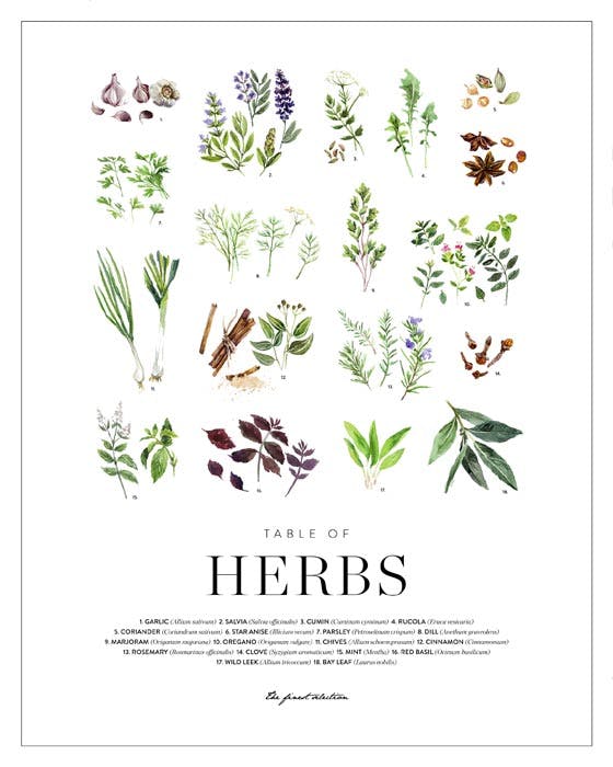 Herbs. Affiche 0